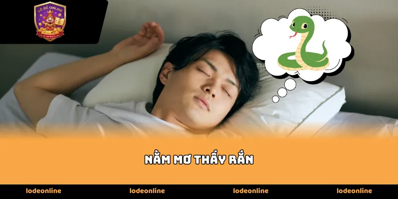 Ý nghĩa tâm linh khi Nằm Mơ Thấy Rắn trong đêm