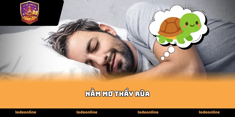 Giải mã sức mạnh tâm linh khi Nằm Mơ Thấy Rùa